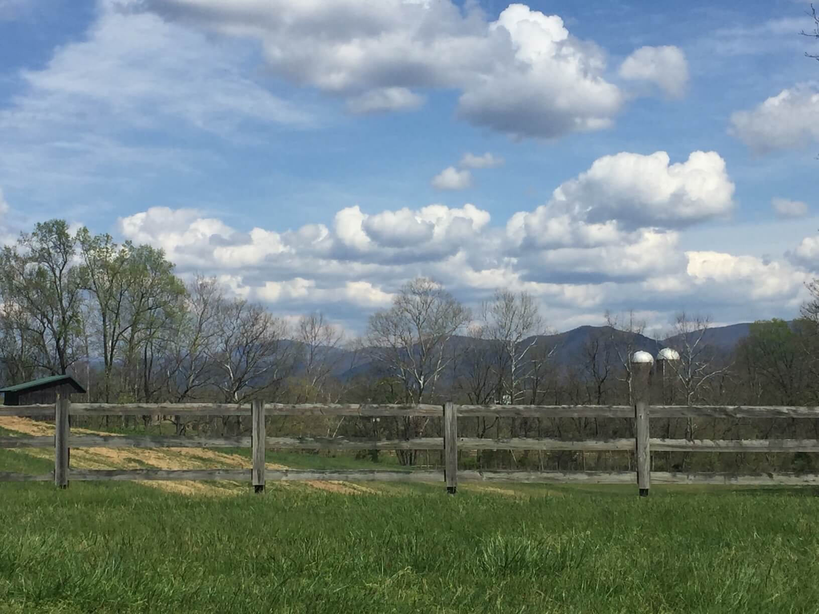 Fence and Field