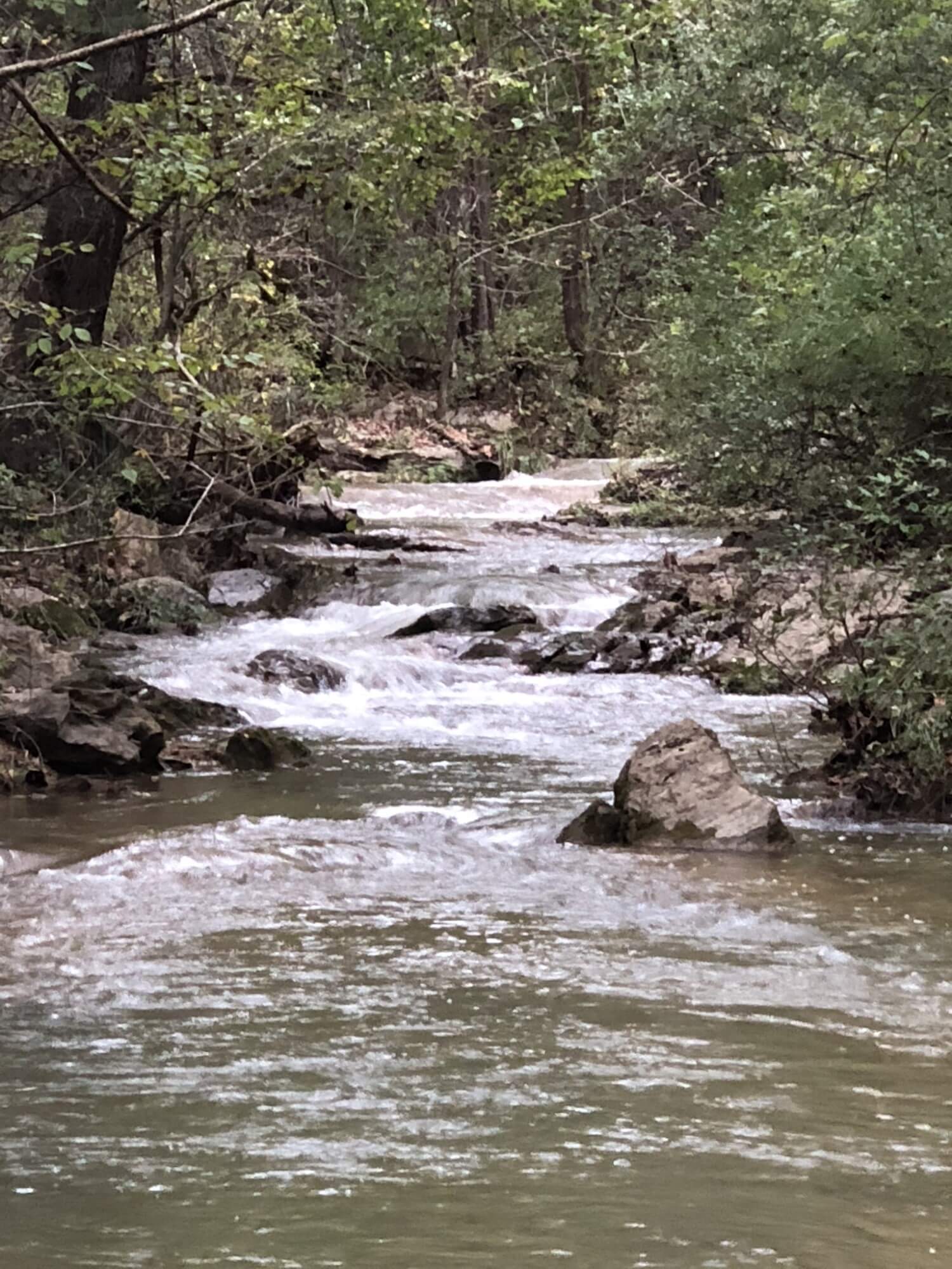 Creek